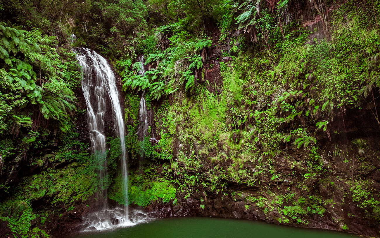 10 cose da sapere Madagascar